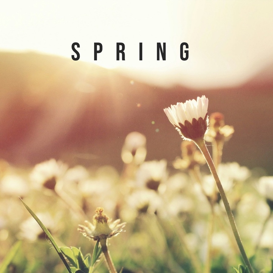Spring Spotify Playlist