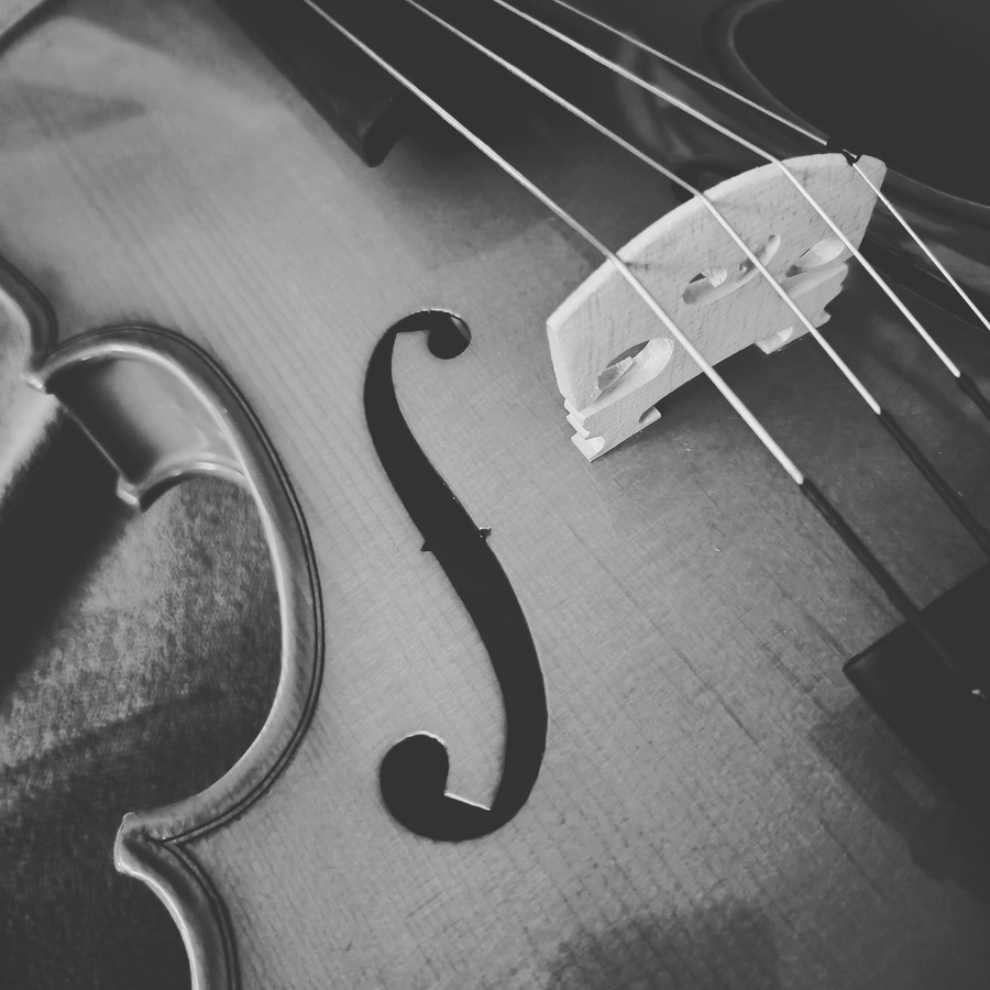 Sunday Strings Studio Sessions